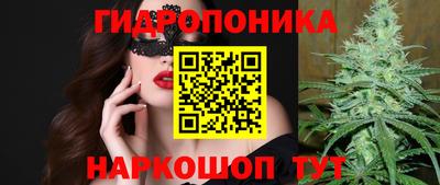 мяу мяу мука Канаш