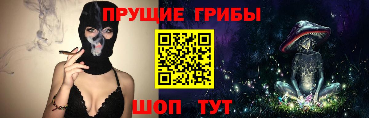 продажа наркотиков  Галлюциногенные грибы мицелий  Вход с VPN  Саров 